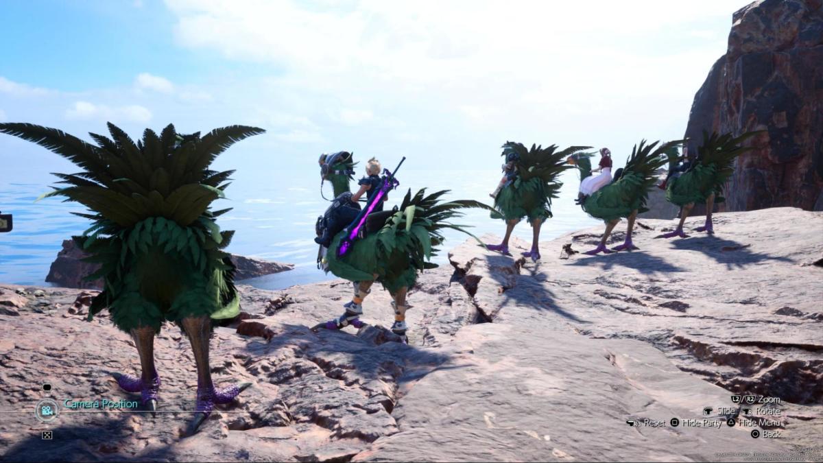 Corel Chocobos don't have a specific skill.